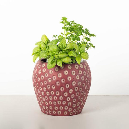 Pot de fleurs en forme de fraise